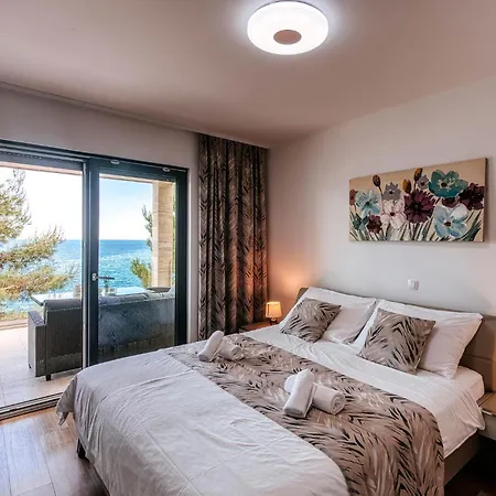 Neptune 스타리그라드 파클레니차