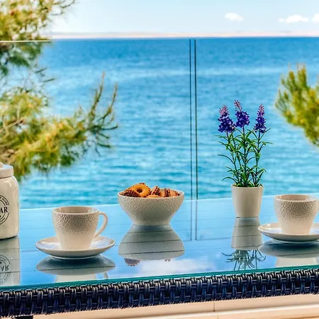 Neptune * 스타리그라드 파클레니차