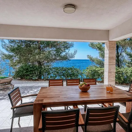 Neptune 스타리그라드 파클레니차